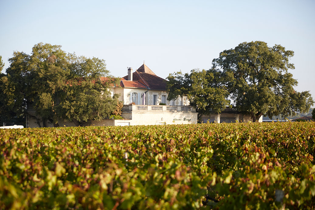 Partez à la découverte du Château Chêne Liège avec l'agence d'événements BVE